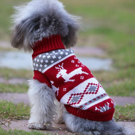 Pull de noël pour chien & chat